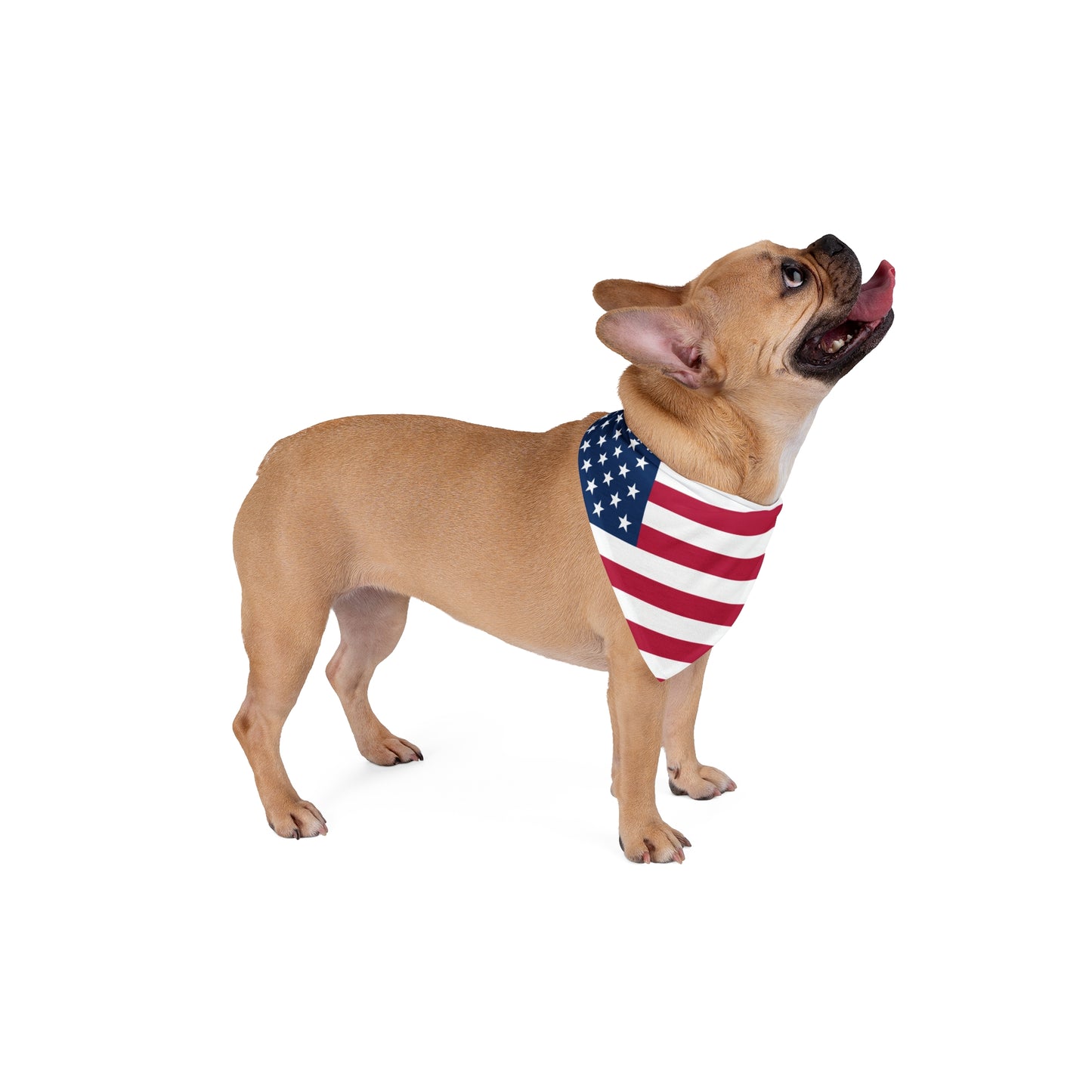 Soccer Fan Pet Bandana — USA