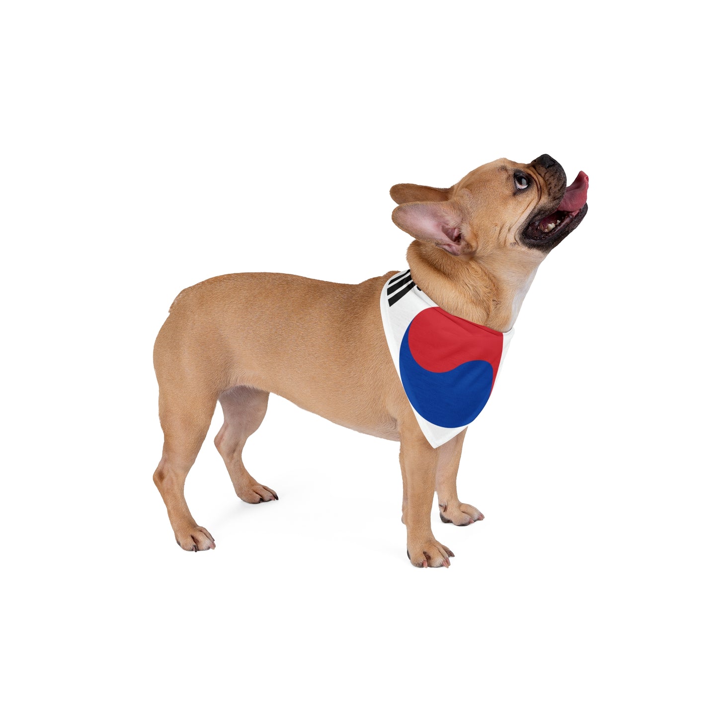 Soccer Fan Pet Bandana — South Korea