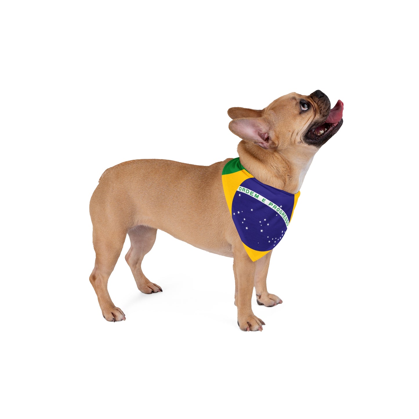 Soccer Fan Pet Bandana — Brazil