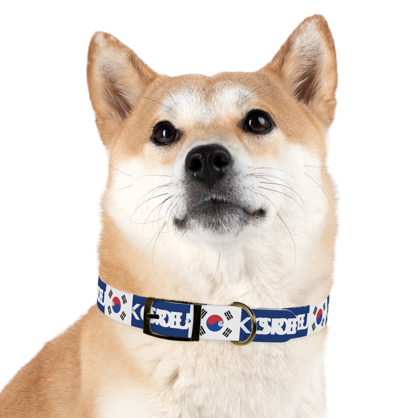 World Cup Dog Collar - South Korea