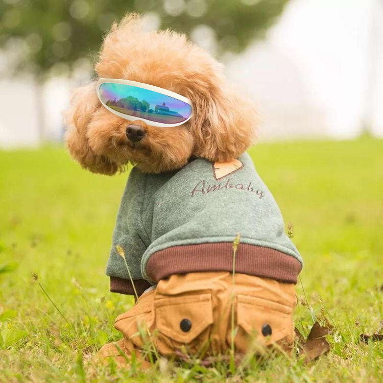 Dog Goggles UV Sunglasses for Small Dogs & Cats