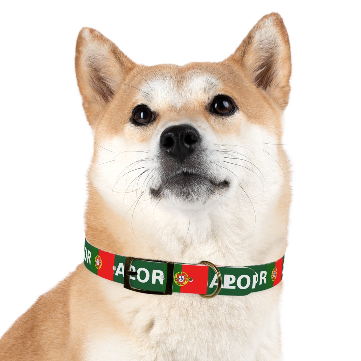 World Cup Dog Collar - Portugal