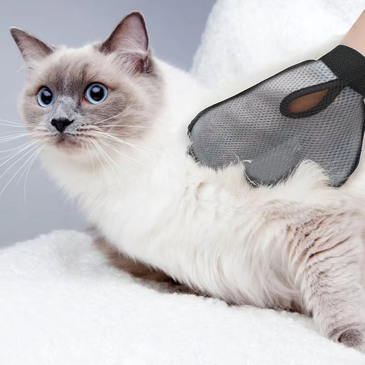 Pet Grooming Glove for Shedding — Cat & Dog Hair Remover