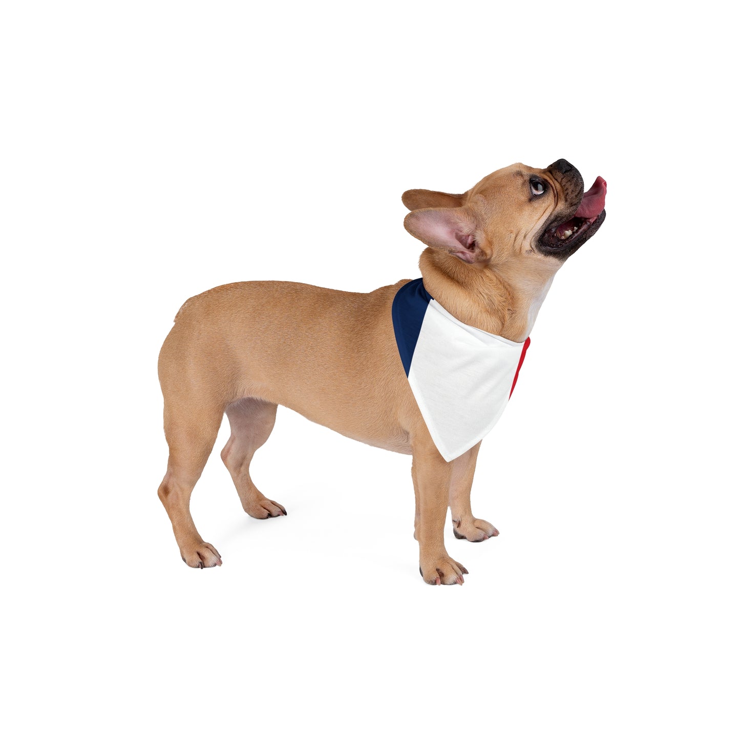 Soccer Fan Pet Bandana — France
