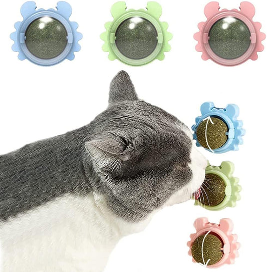 Catnip Wall Balls for Cats — Edible Licking & Teeth-Cleaning Toy