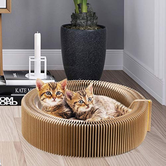Collapsible Cardboard Cat Scratcher Lounge Bed for Indoor Cats