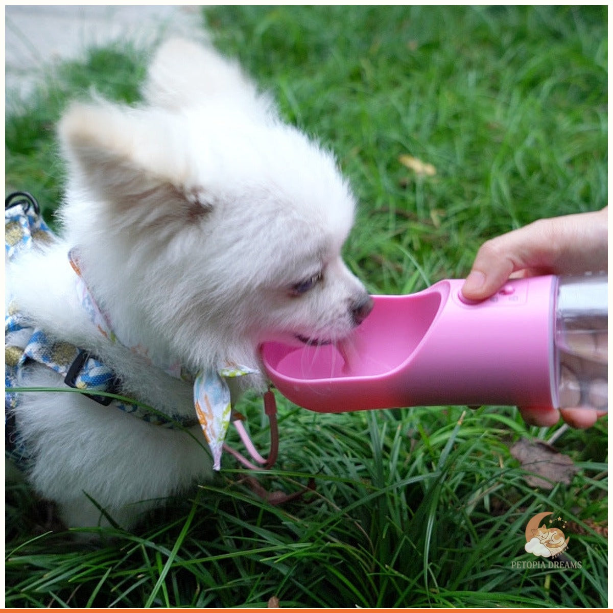 Portable Dog Water Bottle: Leak-Proof Travel Dispenser & Bowl | Petopia Dreams