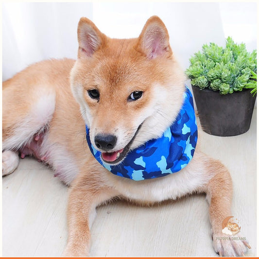Pet Cooling Scarf with Ice Pack — Summer Heat Relief Bandana | Petopia Dreams