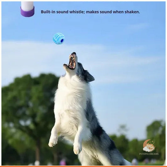 Interactive Squeaky Sound Ball for Dogs & Cats | Petopia Dreams