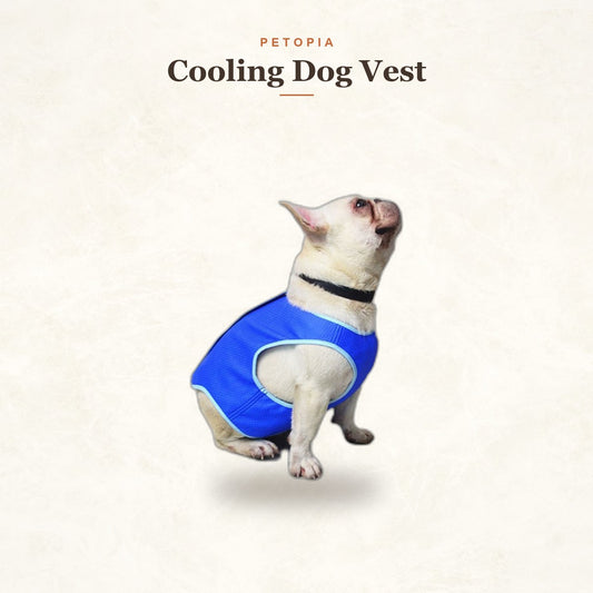Cooling Dog Vest — Sweat-Absorbing Summer Shirt for Dogs