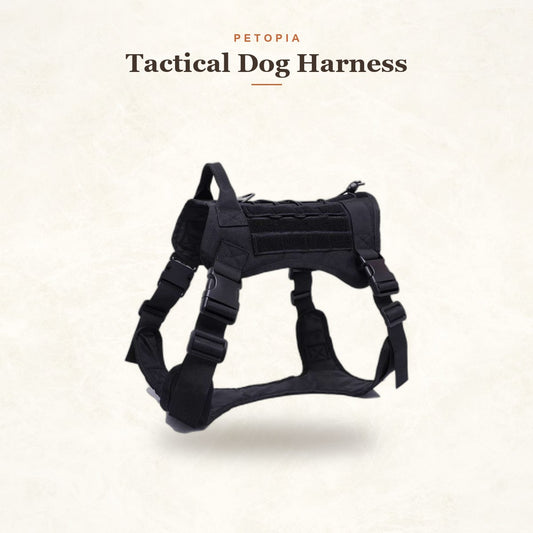 Tactical Dog Harness — Adjustable No-Pull Vest for Working Dogs