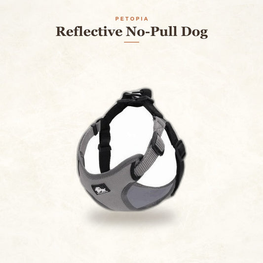 Reflective No-Pull Dog Harness Vest — Soft Padded Comfort