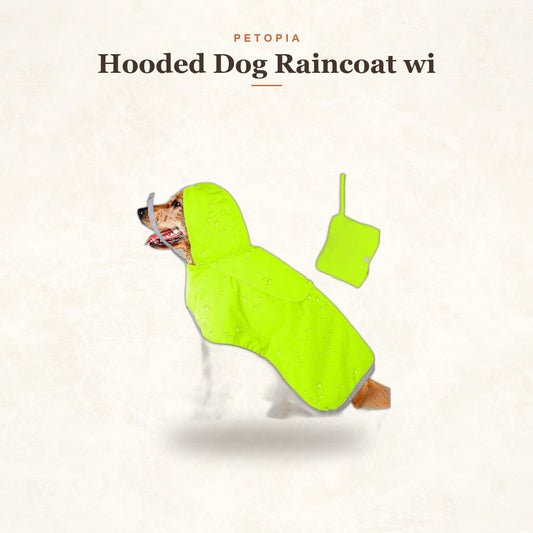 Hooded Dog Raincoat with Clear Visor Cap for Small Dogs
