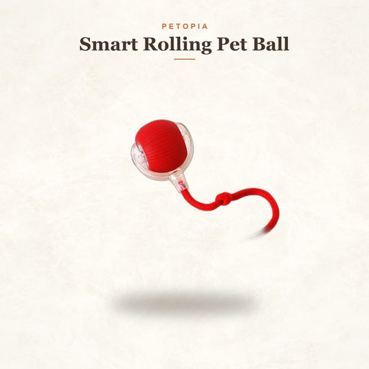 Smart Rolling Pet Ball: Self-Moving Toy for Cats & Dogs