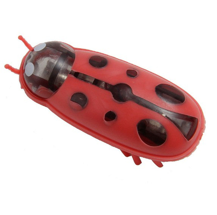 Best Electric Moving Cat Toys for Active Pets