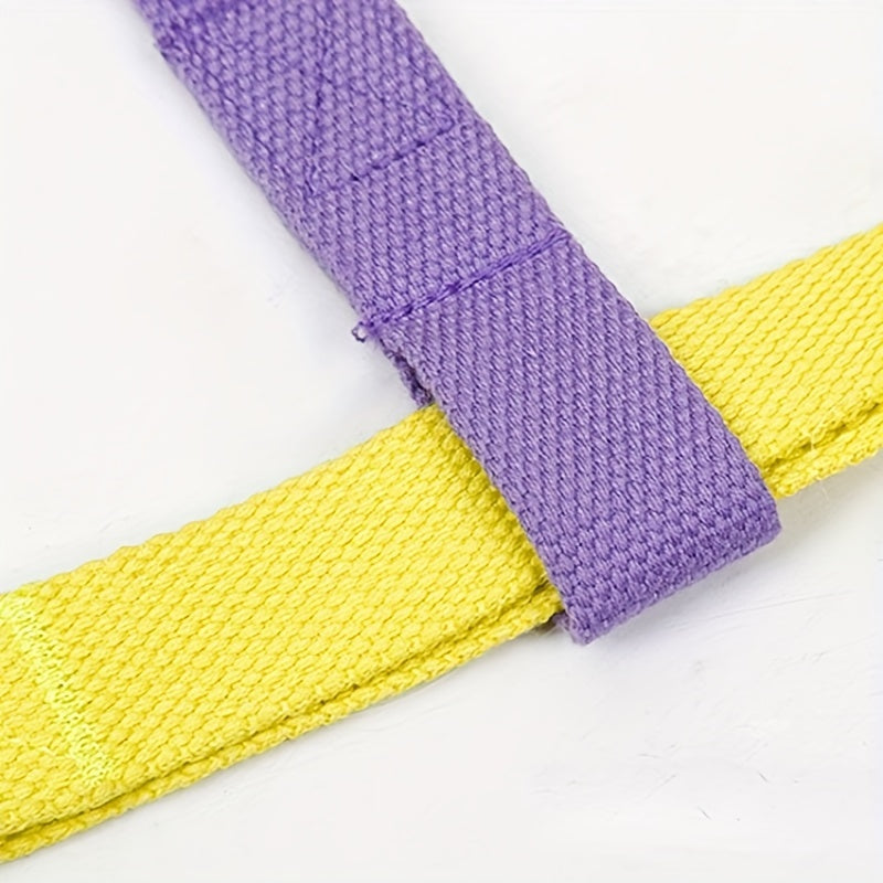 Best No-Escape Dog Harness: Rainbow Colorblock Set Review