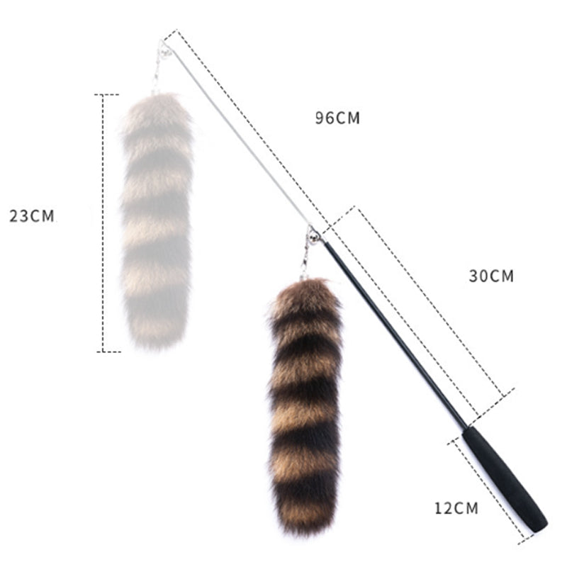 Best Interactive Cat Wand Toys: Complete Buyer's Guide