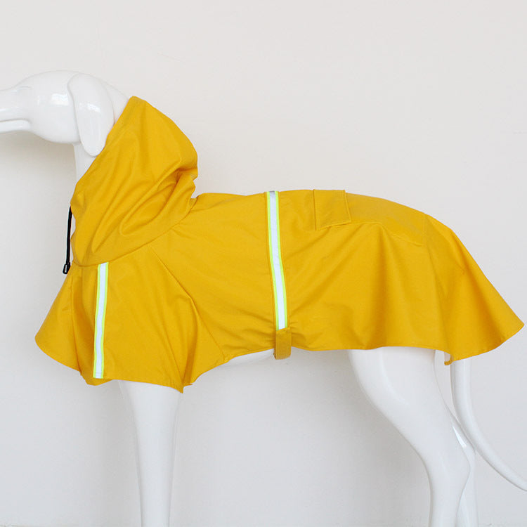Fall Night Dog Walking Safety: Reflective Gear and Rain Tips
