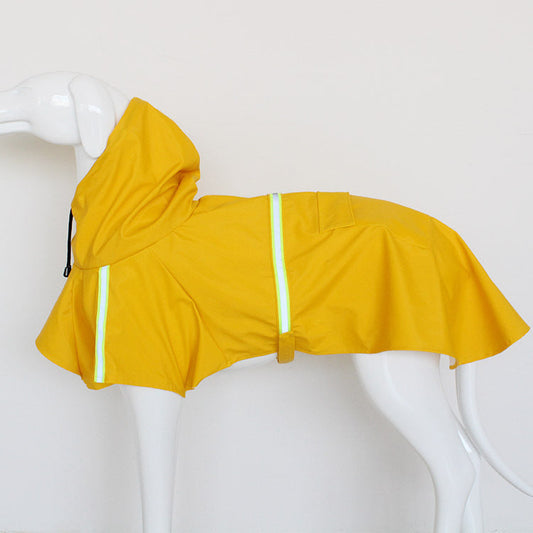 Fall Night Dog Walking Safety: Reflective Gear and Rain Tips