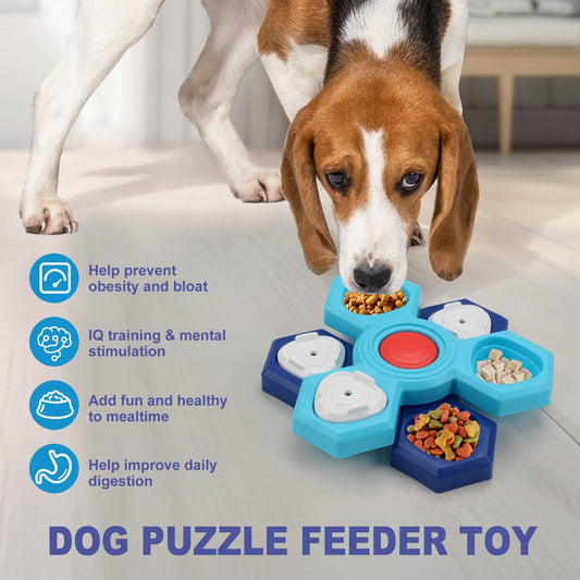 Best Slow Feeder Bowl for Fast Eating Dogs: Maze Design