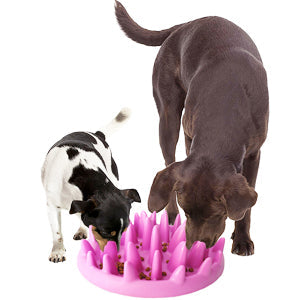 Best Slow Feeder Bowls for Cats & Dogs: Jungle Maze