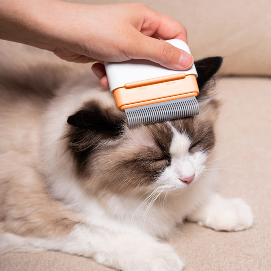Best Double-Sided Deshedding Brush for Cats & Dogs