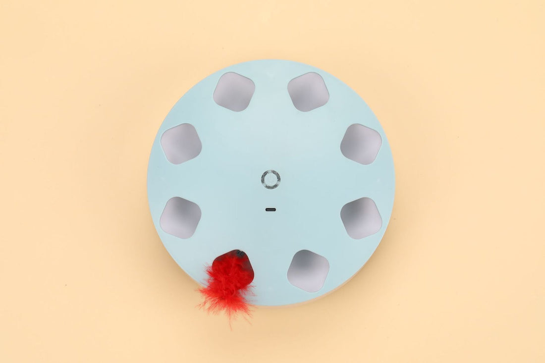 Best Automatic UFO Cat Teaser Toy: Worth Buying?
