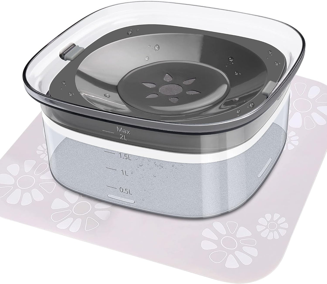 Best No-Spill Dog Water Bowls for Travel & Car Rides