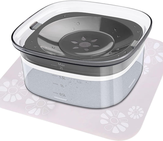 Best No-Spill Dog Water Bowls for Travel & Car Rides