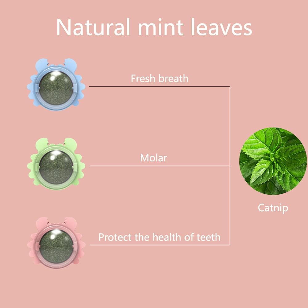 Best Catnip Wall Balls for Cats: Teeth Cleaning & Safety