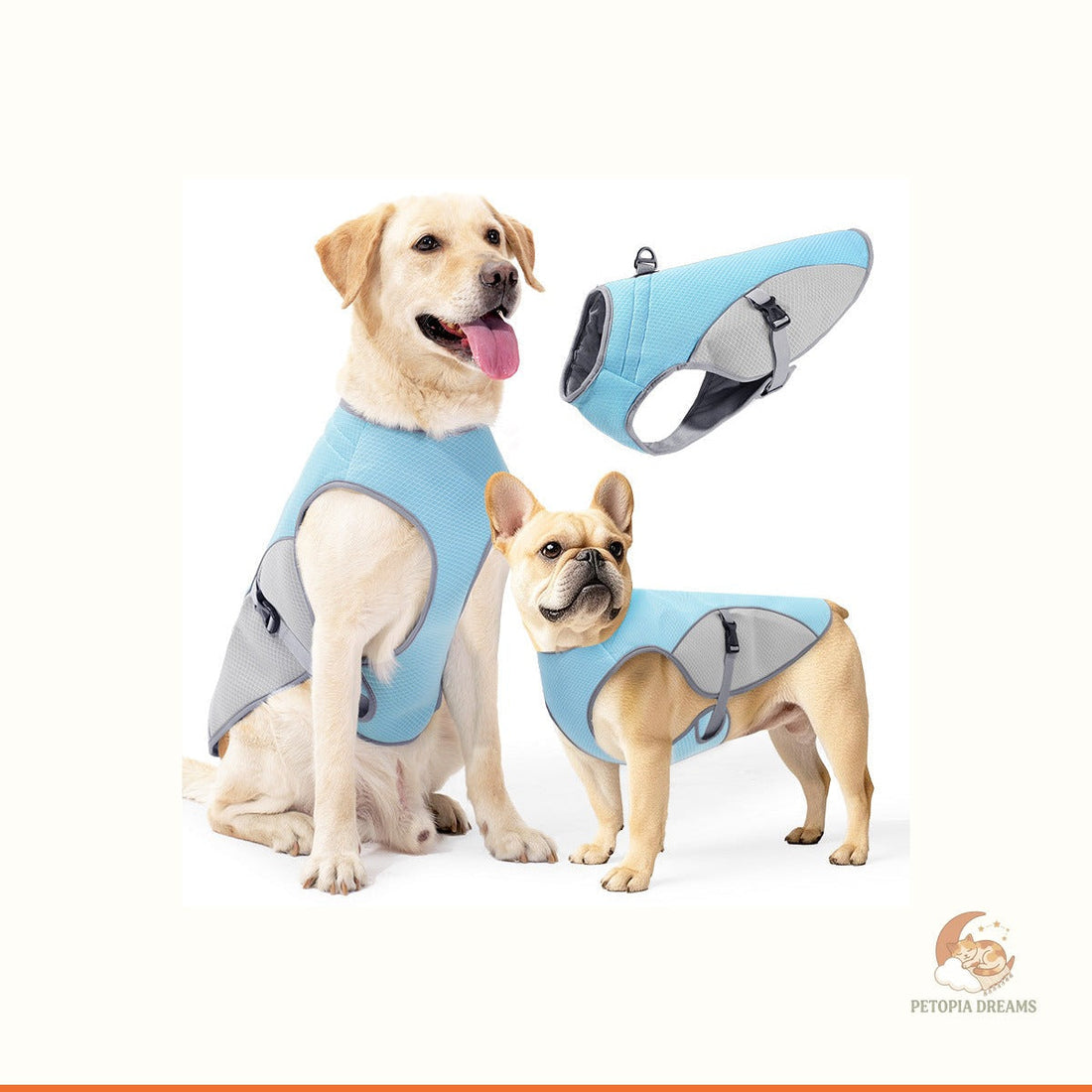 Best Dog Cooling Vests for Hot Summer Walks