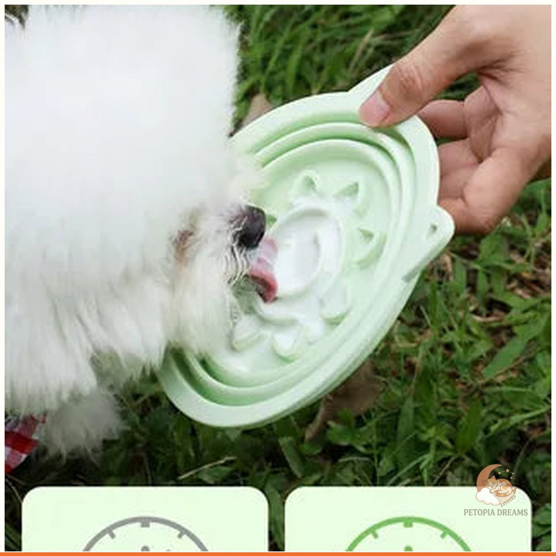 Best Collapsible Dog Bowl for Travel & Slow Feeding?