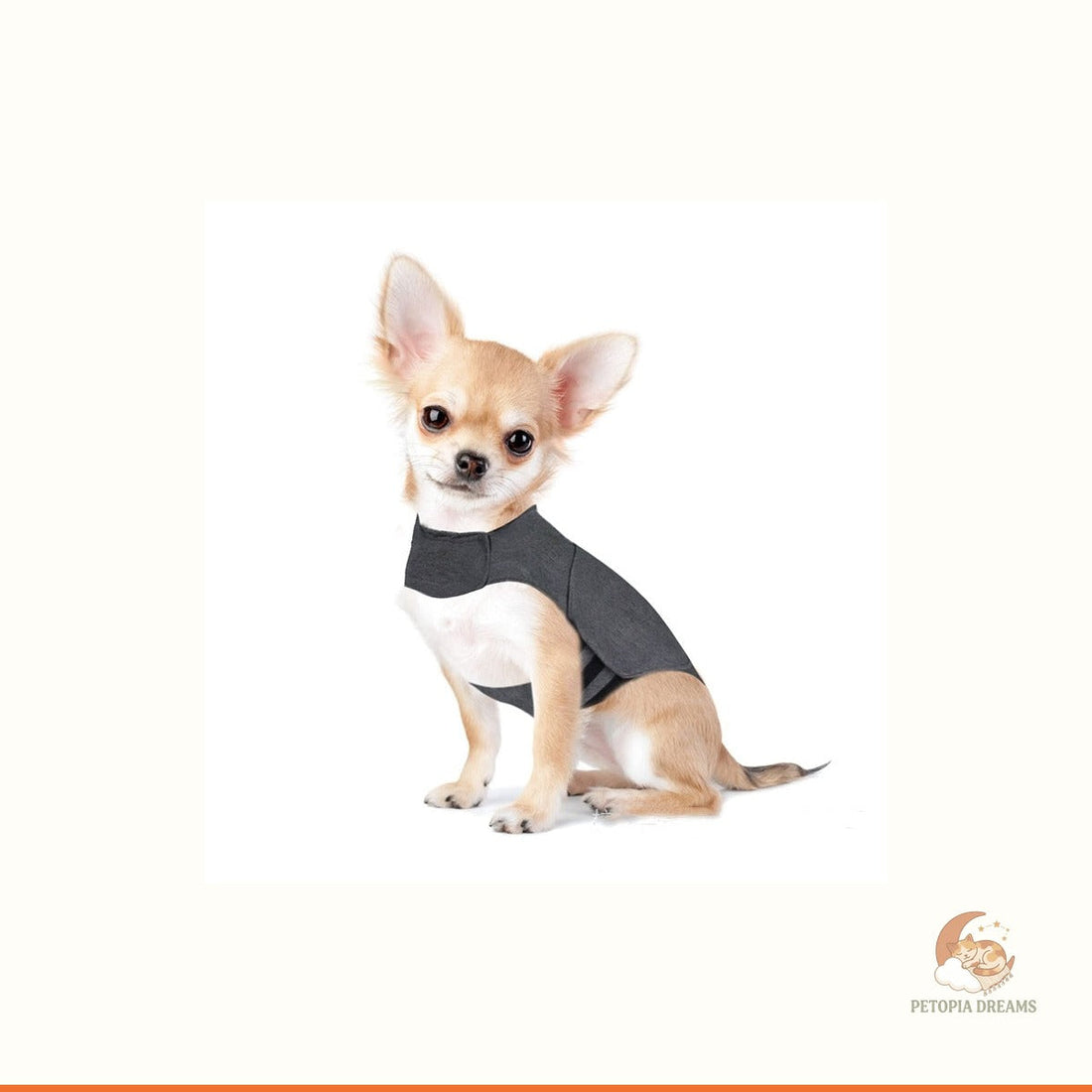 Best Dog Anxiety Jackets: How to Calm Nervous Dogs
