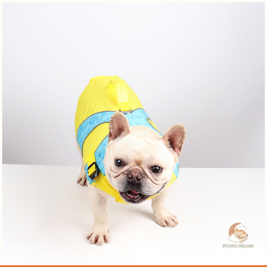 Best Dog Life Jackets for Safe Water Play