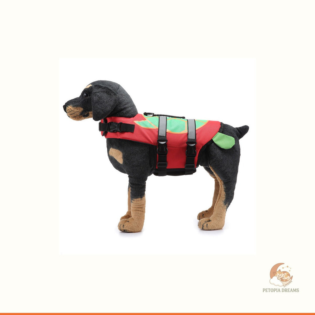 Best Dog Life Jackets for Safe Swimming & Water Activities