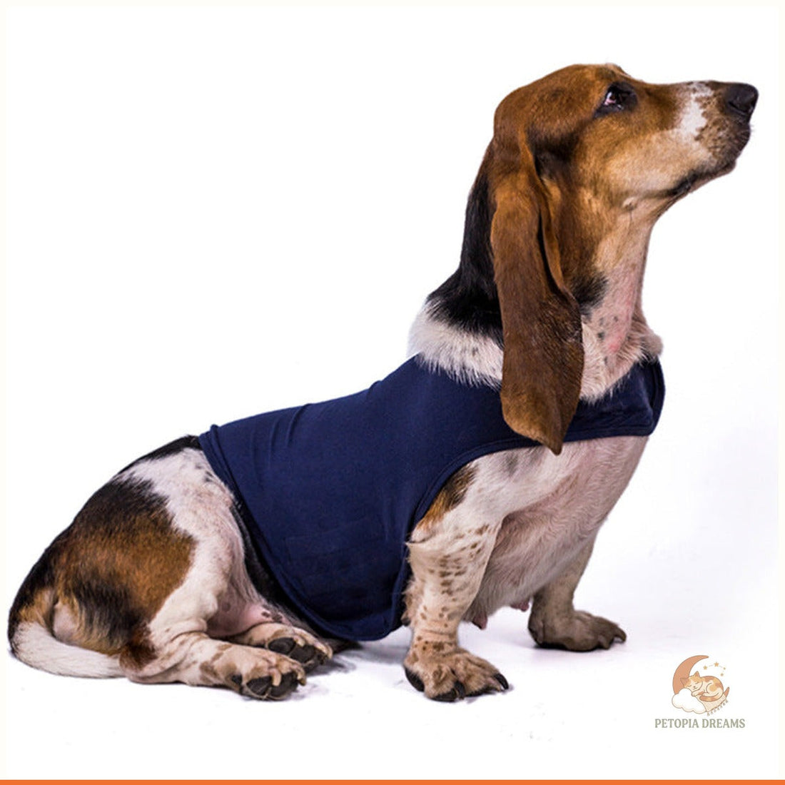 Best Calming Jacket for Anxious Dogs: Complete Buyer's Guide