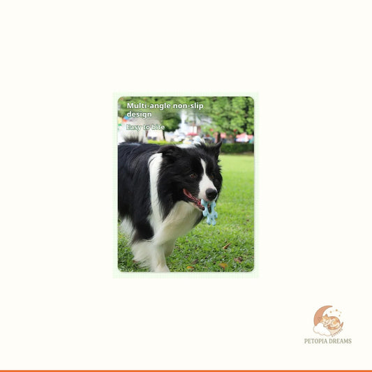 Best Interactive Dog Flywheel Toys for Bonding & Play