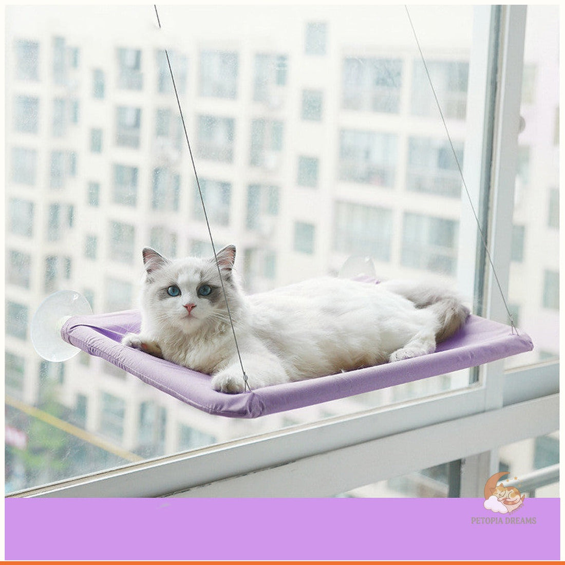 Best Cat Window Hammocks: Sunny Perch vs Other Options