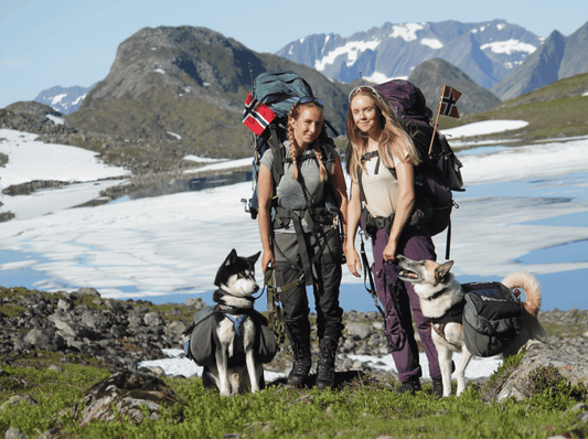 Dog Carrier Backpack with Leg Holes: Fit, Comfort & Safety