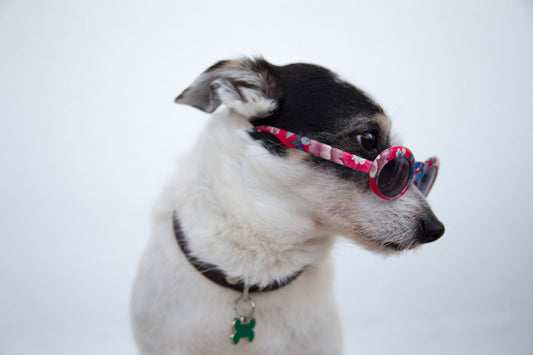 Cooling Collar vs Cooling Vest: Which Summer Product Works Best?