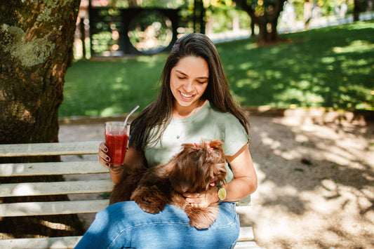Why Does My Dog Drink So Much Water? When to Worry