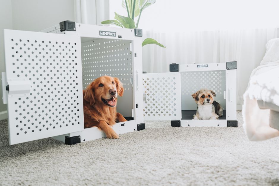 Can You Use a Dog Cooling Mat in a Crate? (Safety Guide)