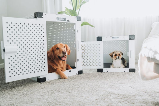 Can You Use a Dog Cooling Mat in a Crate? (Safety Guide)