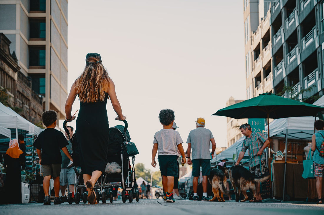 Pet Strollers: Who Actually Needs One (And What to Look For)