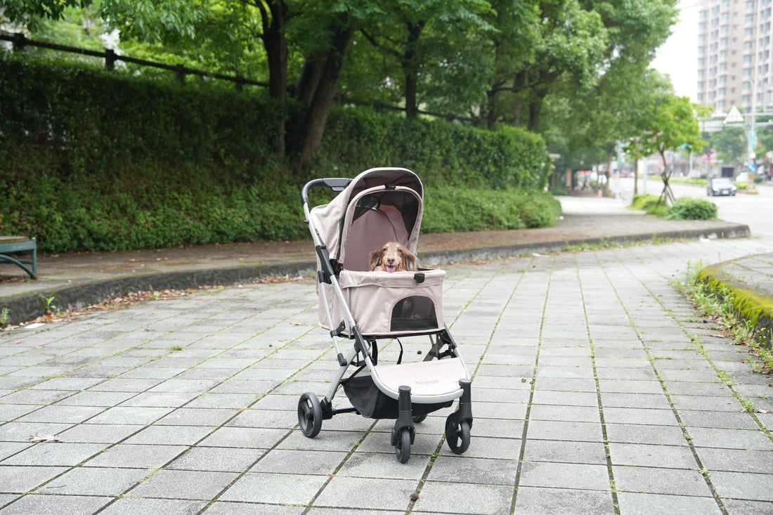 Pet Strollers: Who Actually Needs One (And What to Look For)