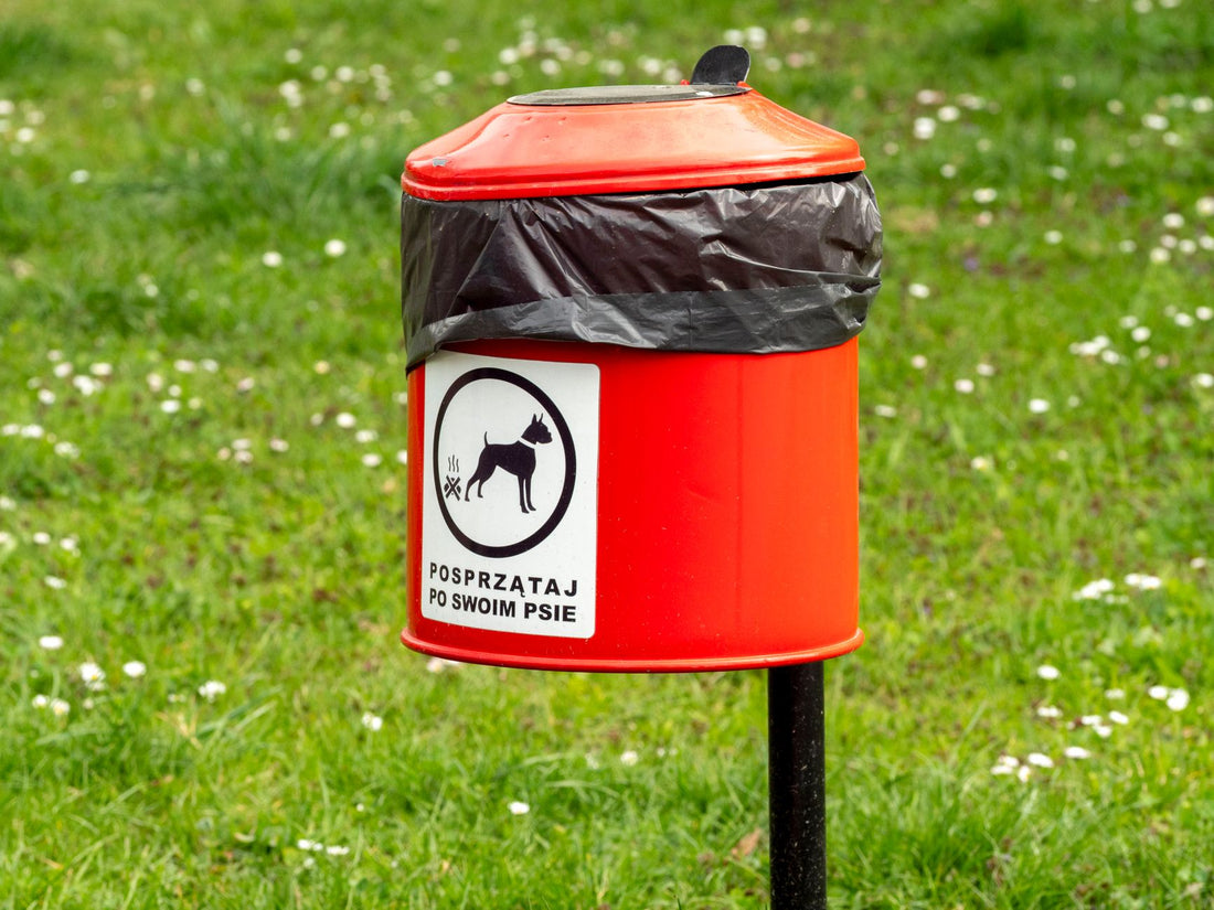 How to Prevent Bloat in Dogs: Feeding Strategies & Products