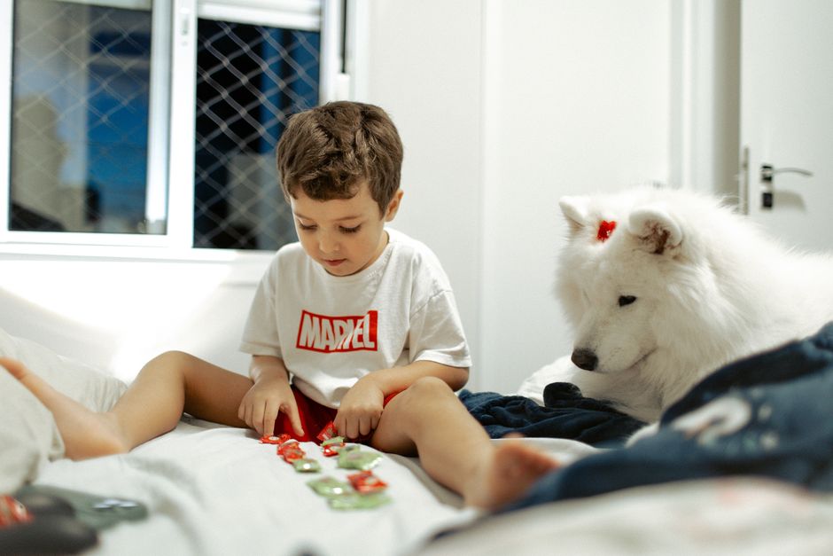 Dog Puzzle Toys vs Physical Exercise: Which Does Your Dog Need?