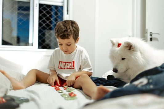 Dog Puzzle Toys vs Physical Exercise: Which Does Your Dog Need?
