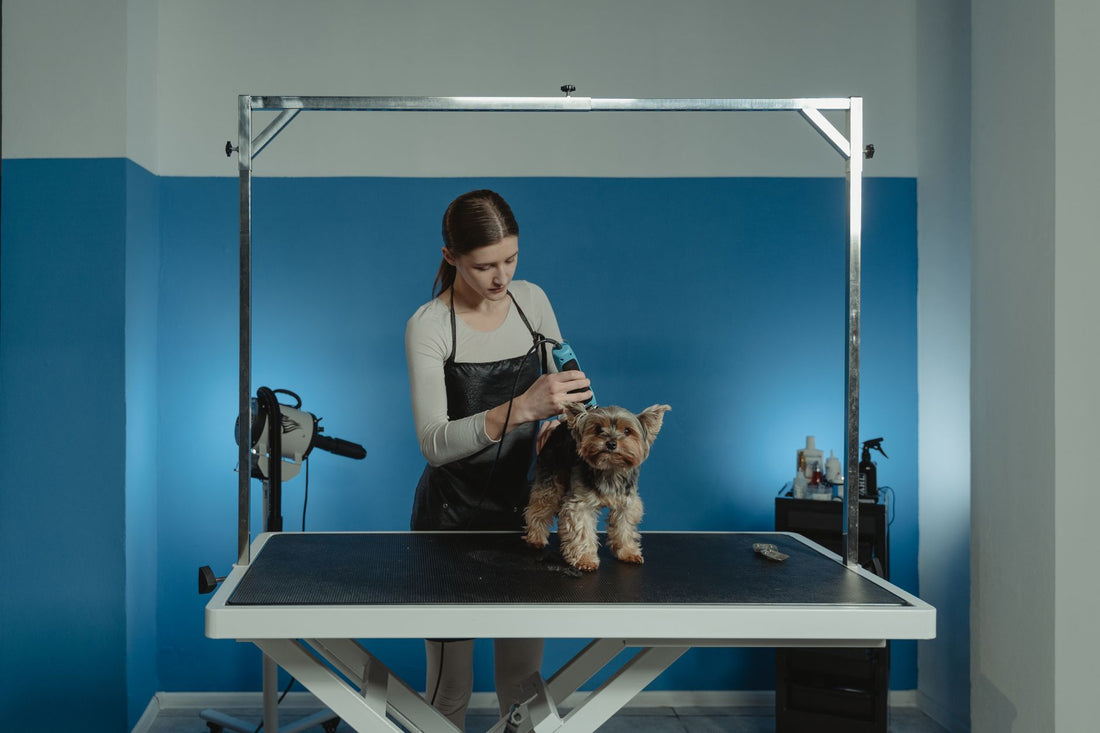 Dog Nail Grinder vs Clippers: Which Is Better for Your Dog?