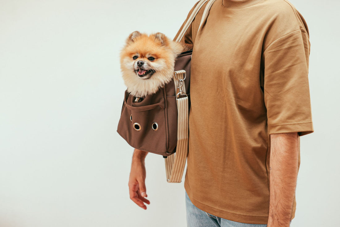 Dog Carrier with Leg Holes: Safety, Fit & Comfort Guide